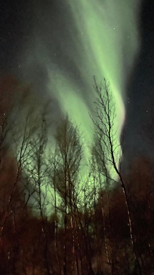 Vila Stor Hytte I Olderfjord Russenes Exteriér fotografie